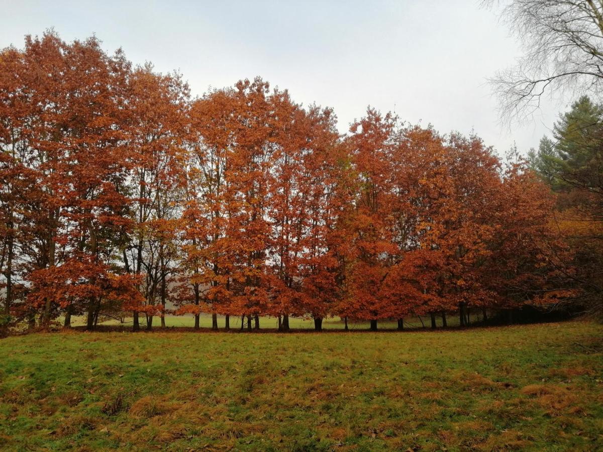 Beatamente B&B Olistico Torrazzo Buitenkant foto