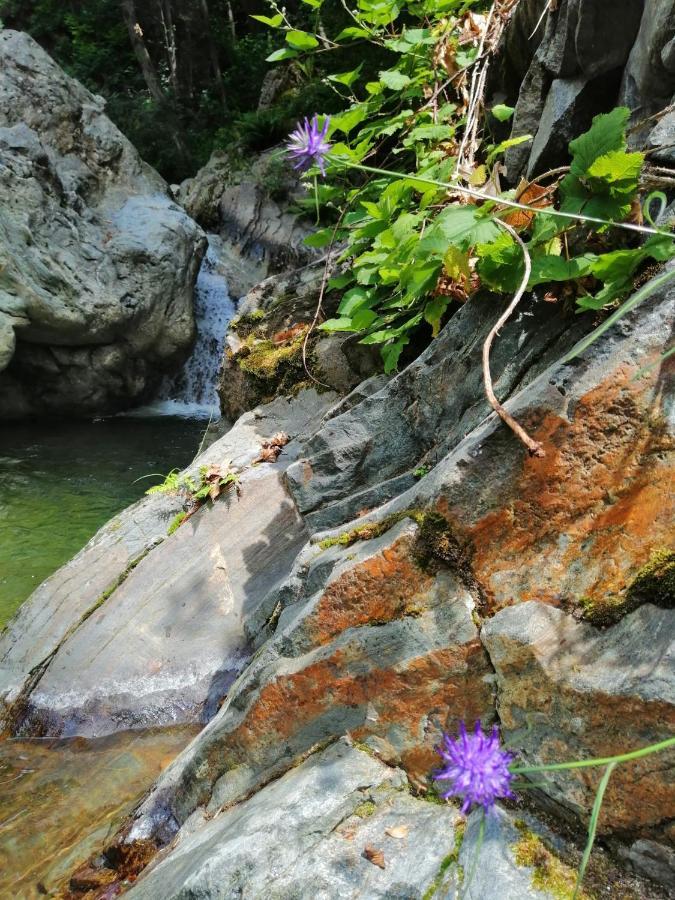 Beatamente B&B Olistico Torrazzo Buitenkant foto